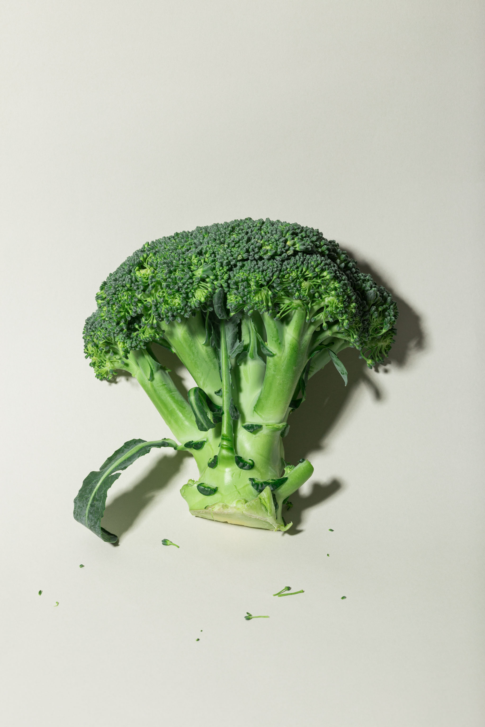 Photo of a beige paper typographic poster mockup on top of which a raw broccoli is placed, throwing a strong shadow, empty mockup.