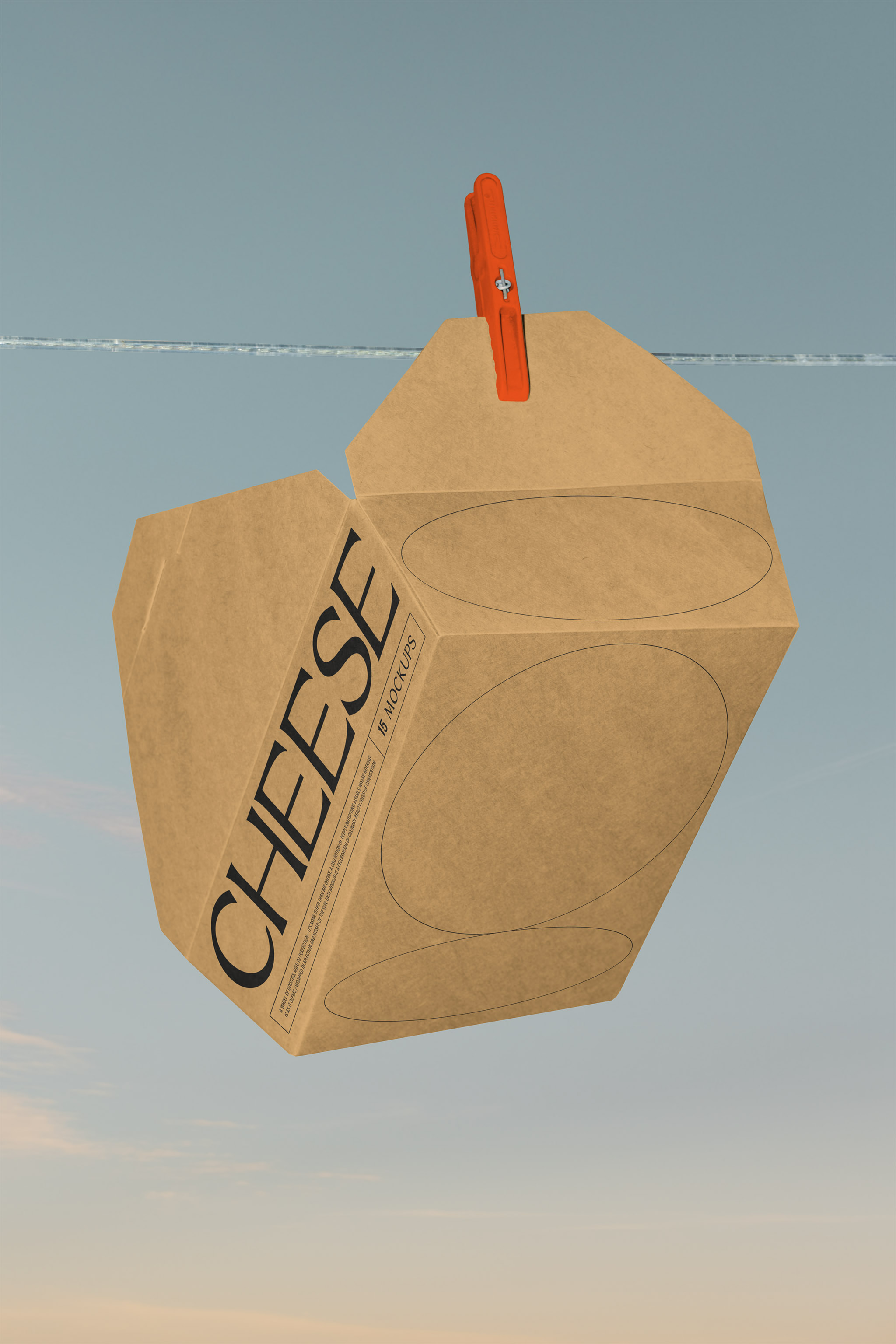 Creative conceptual photo mockup of a kraft meal box with branded food packaging design hung on a clothing line with a clothespin and set against a dusky sky, in use example.