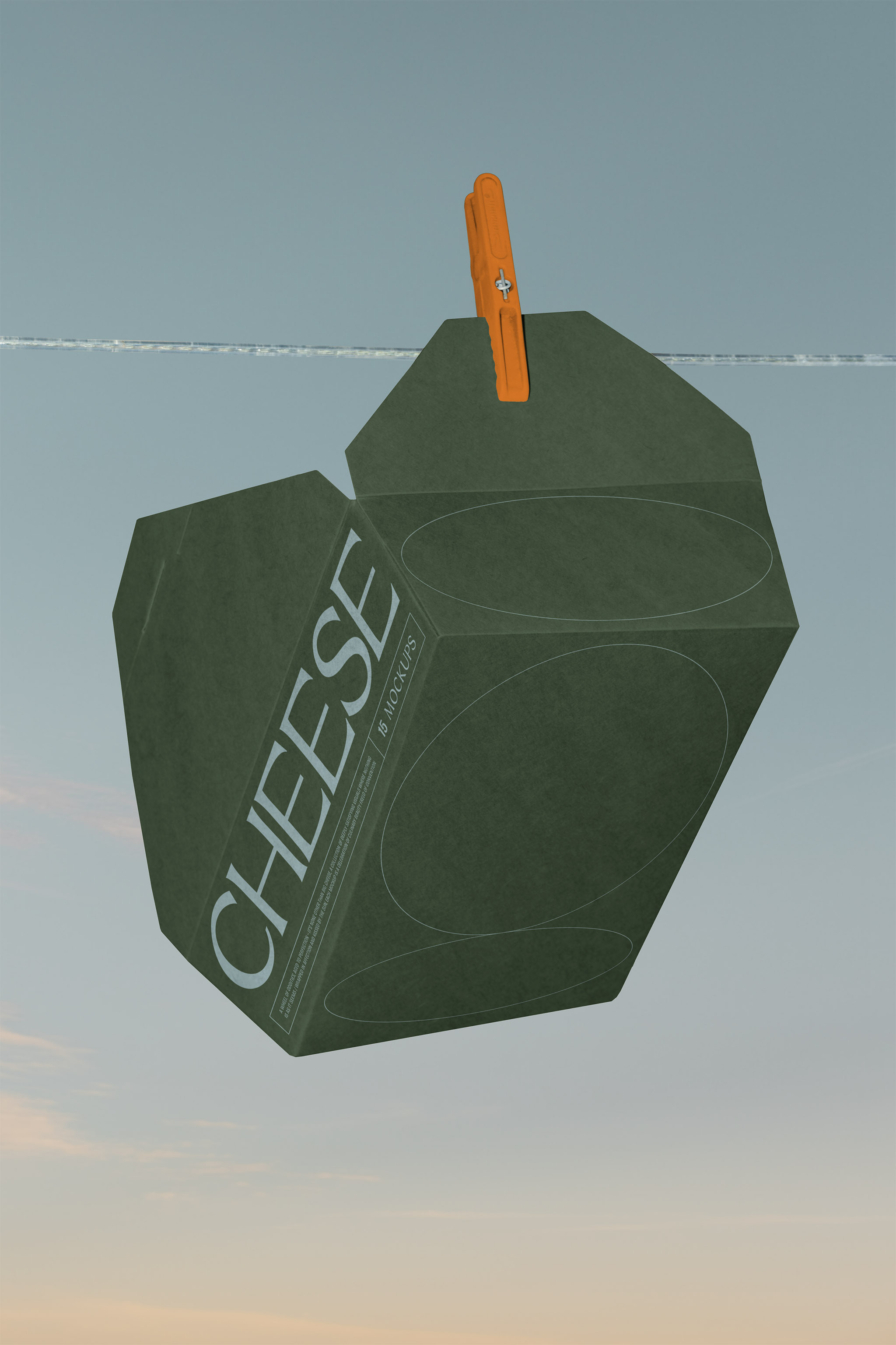 Creative conceptual photo mockup of a kraft meal box with branded food packaging design hung on a clothing line with a clothespin and set against a dusky sky, in use example alternative colors.