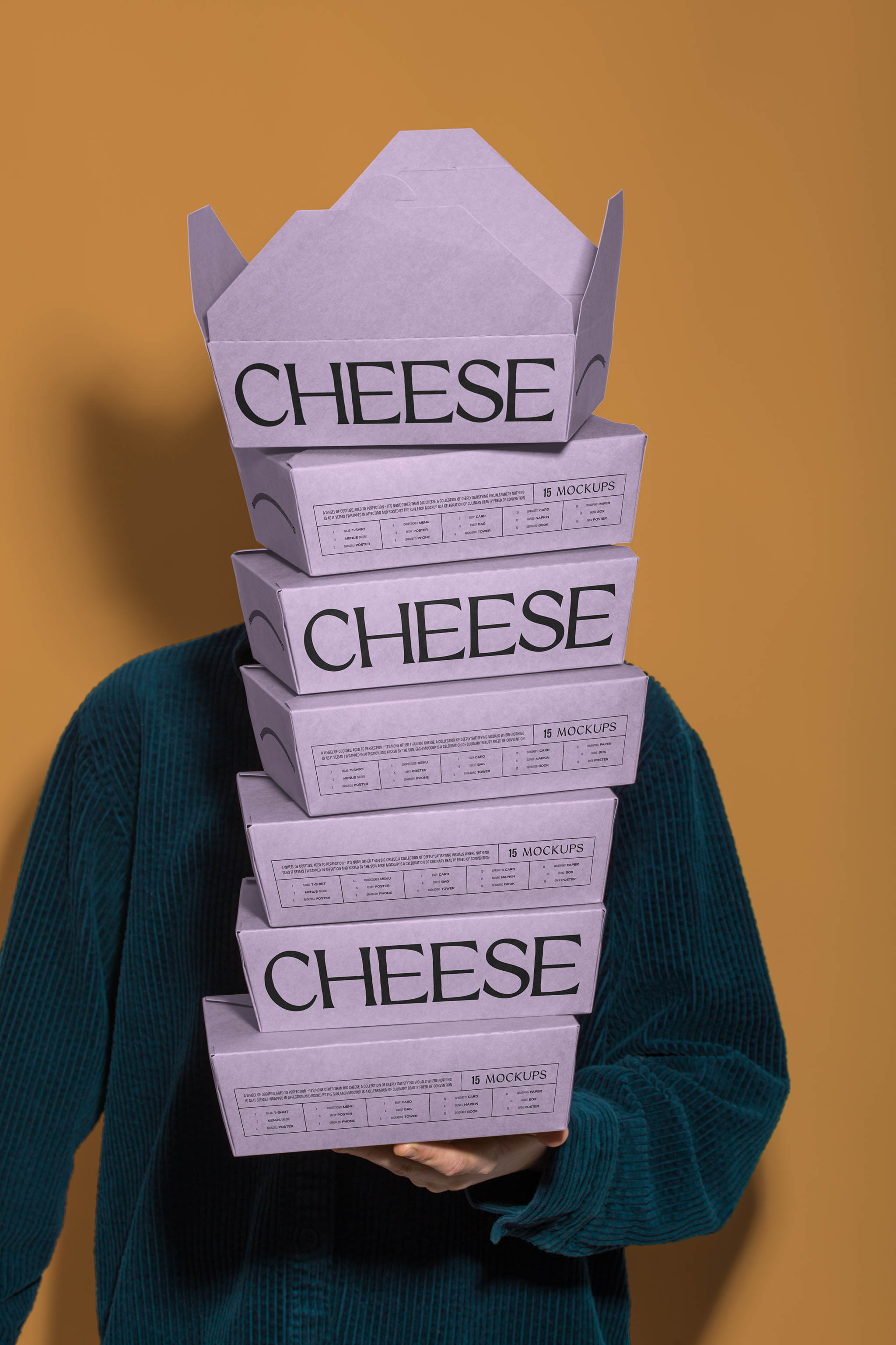 Photograph of a person in a dark blue satin dress shirt holding a tower of kraft meal boxes with food packaging design with one hand, in use example alternative colors.