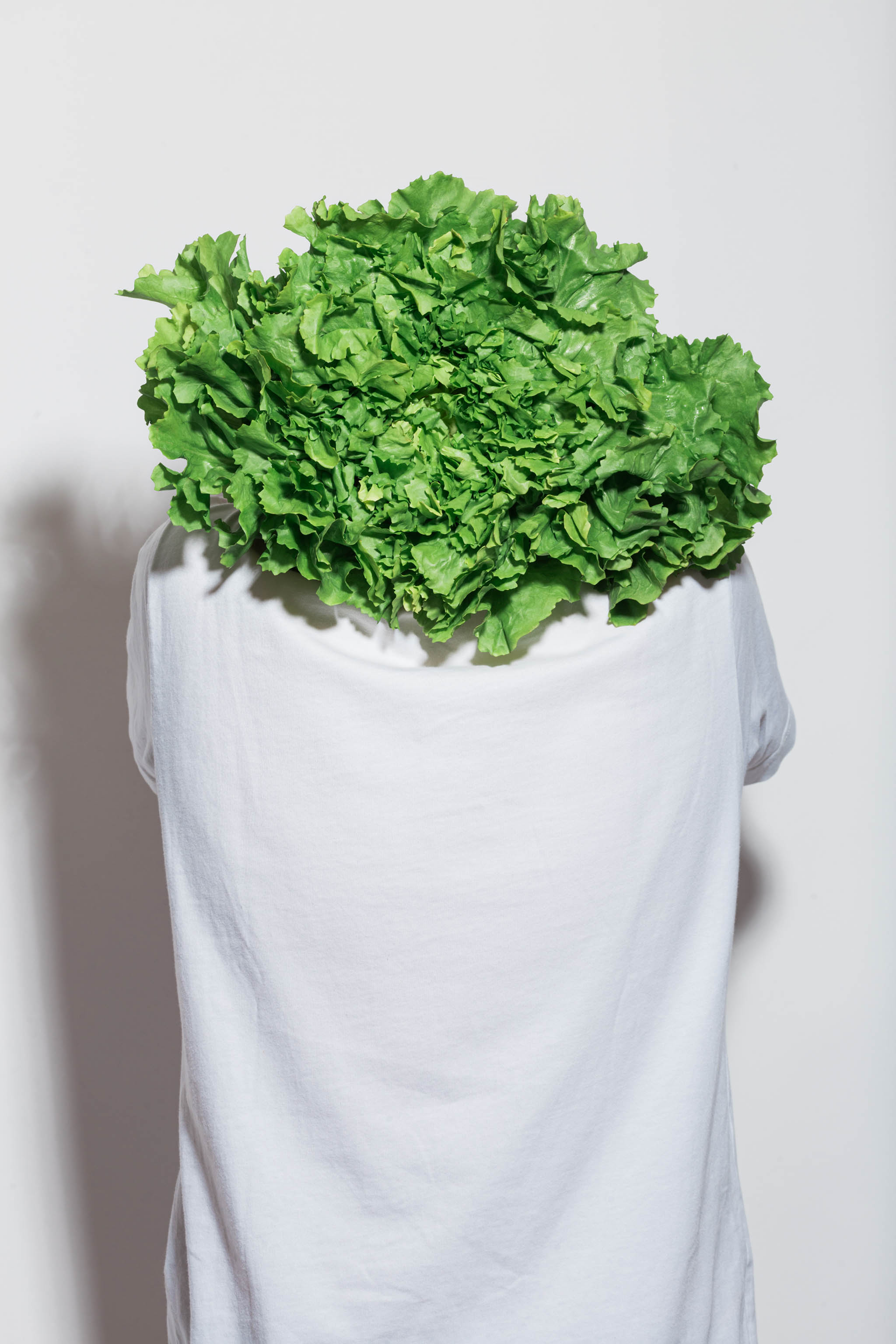 Photo of a person's back wearing a white minimal cotton t-shirt mockup with central black typographic design and a salad head, empty mockup.